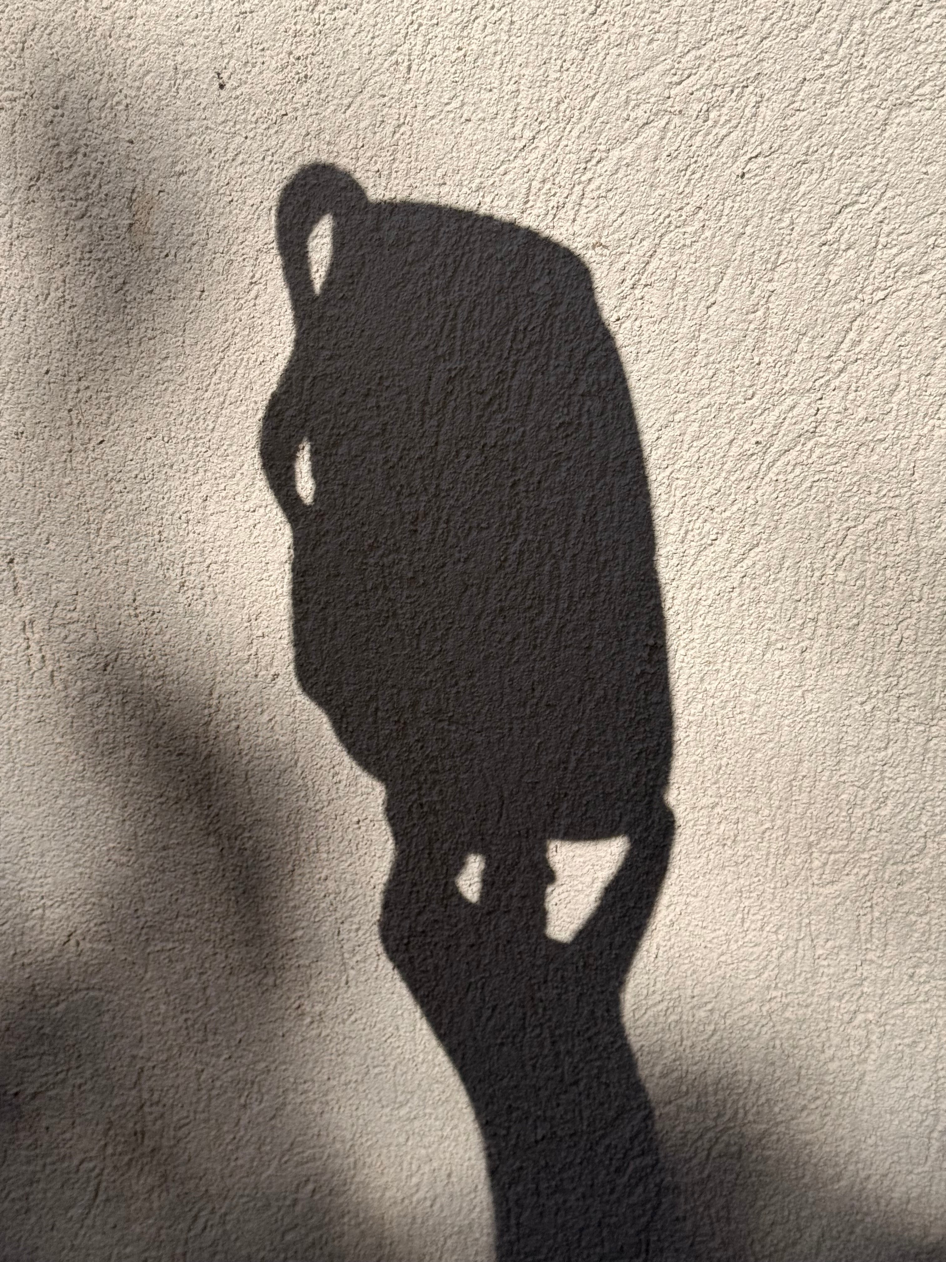 Collection ondulation