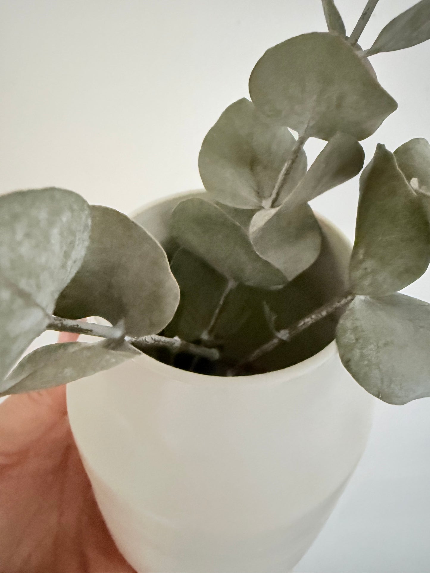 Vase épure